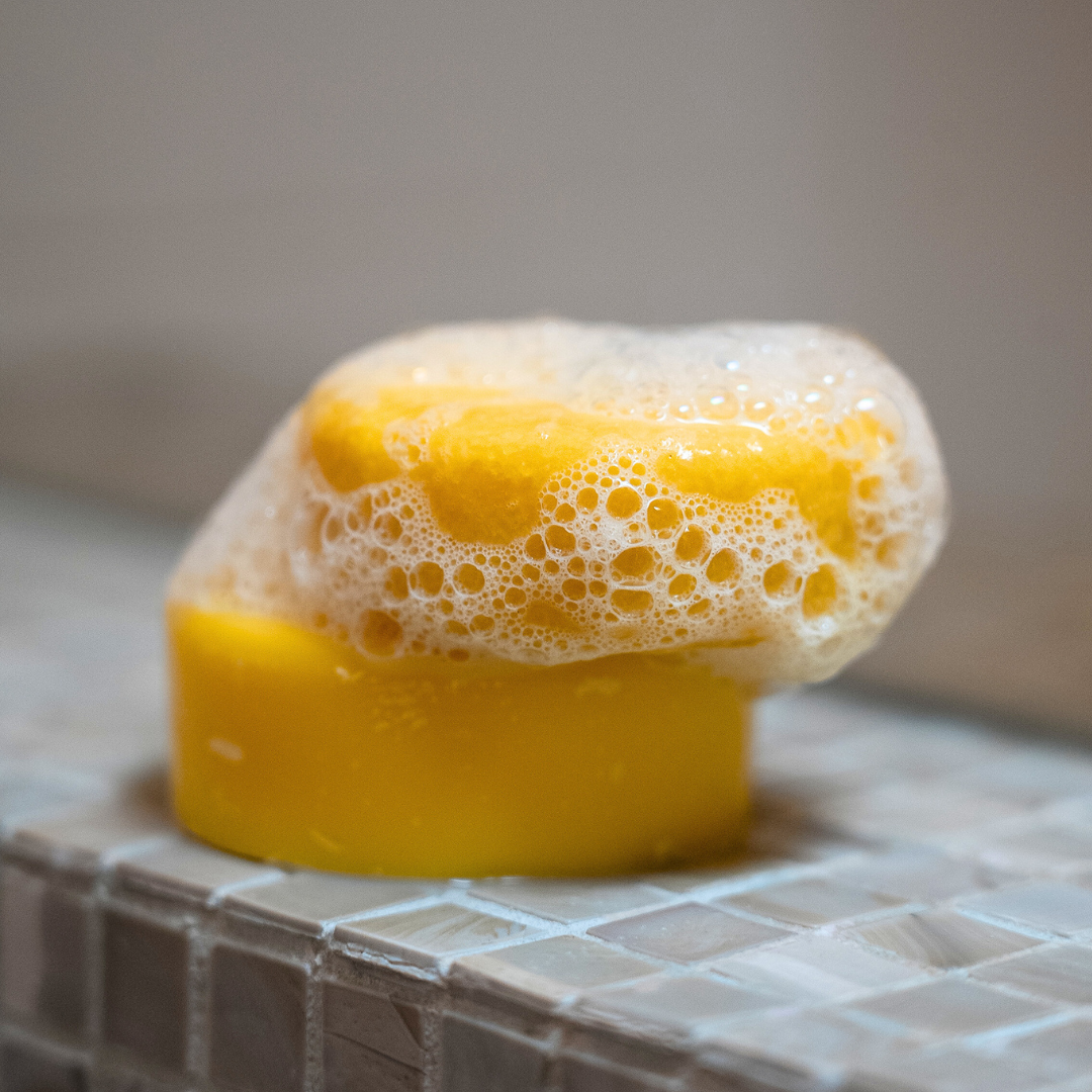 Lemon Shampoo & Conditioner Hair Care Bundle
